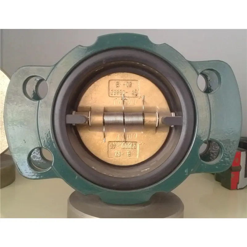 Resilient Seated Check Valve (1).jpg